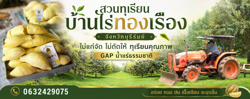 เปิดฤดูกาลชมสวนทุเรียน 2569