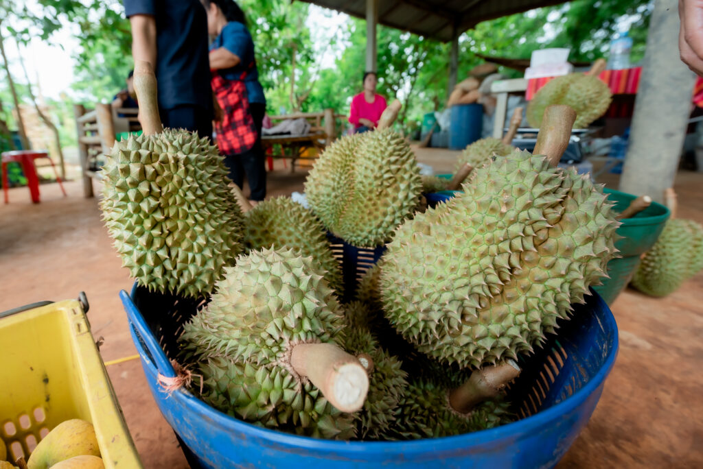 รูปที่ 5 ของ สวนเกษตรสร้างภาพ