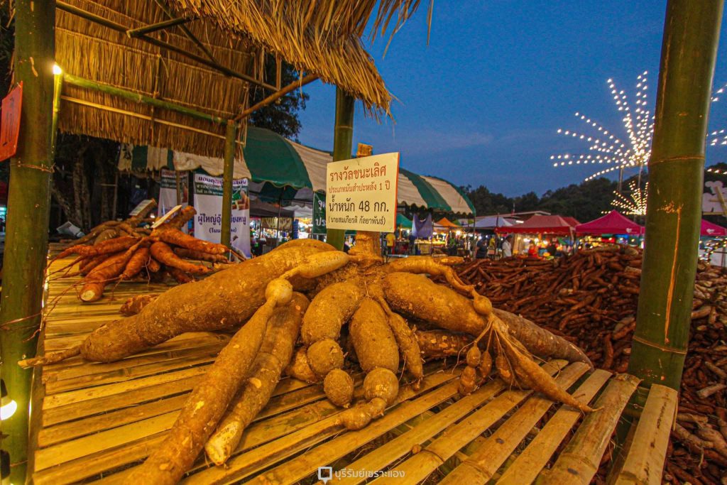 รูปที่ 2 ของ ประเพณีบุญหัวมันใหญ่
