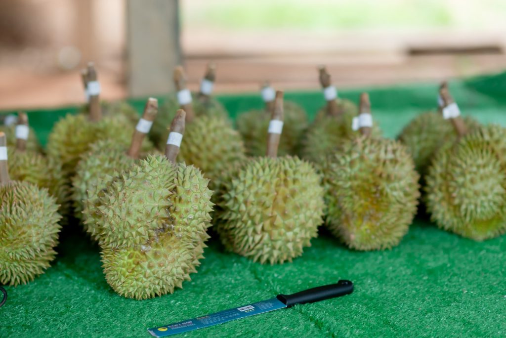 รูปที่ 4 ของ สวนลุงคำพันธ์